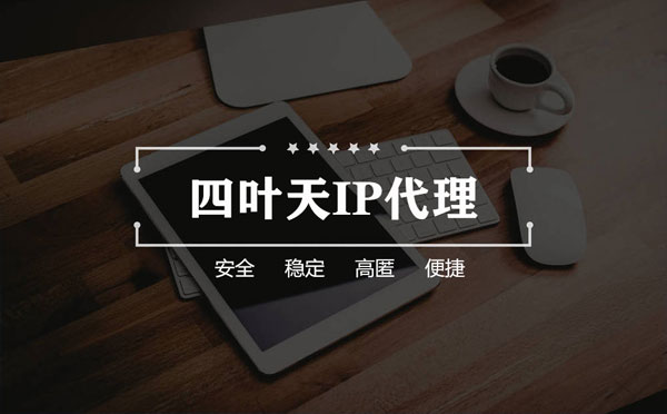 如何快速搭建代理IP？怎么检查代理的效果？